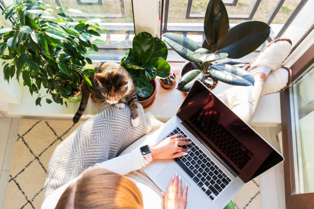 Le télétravail : une bonne idée. Mais êtes-vous bien assuré ?
